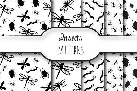 Insects